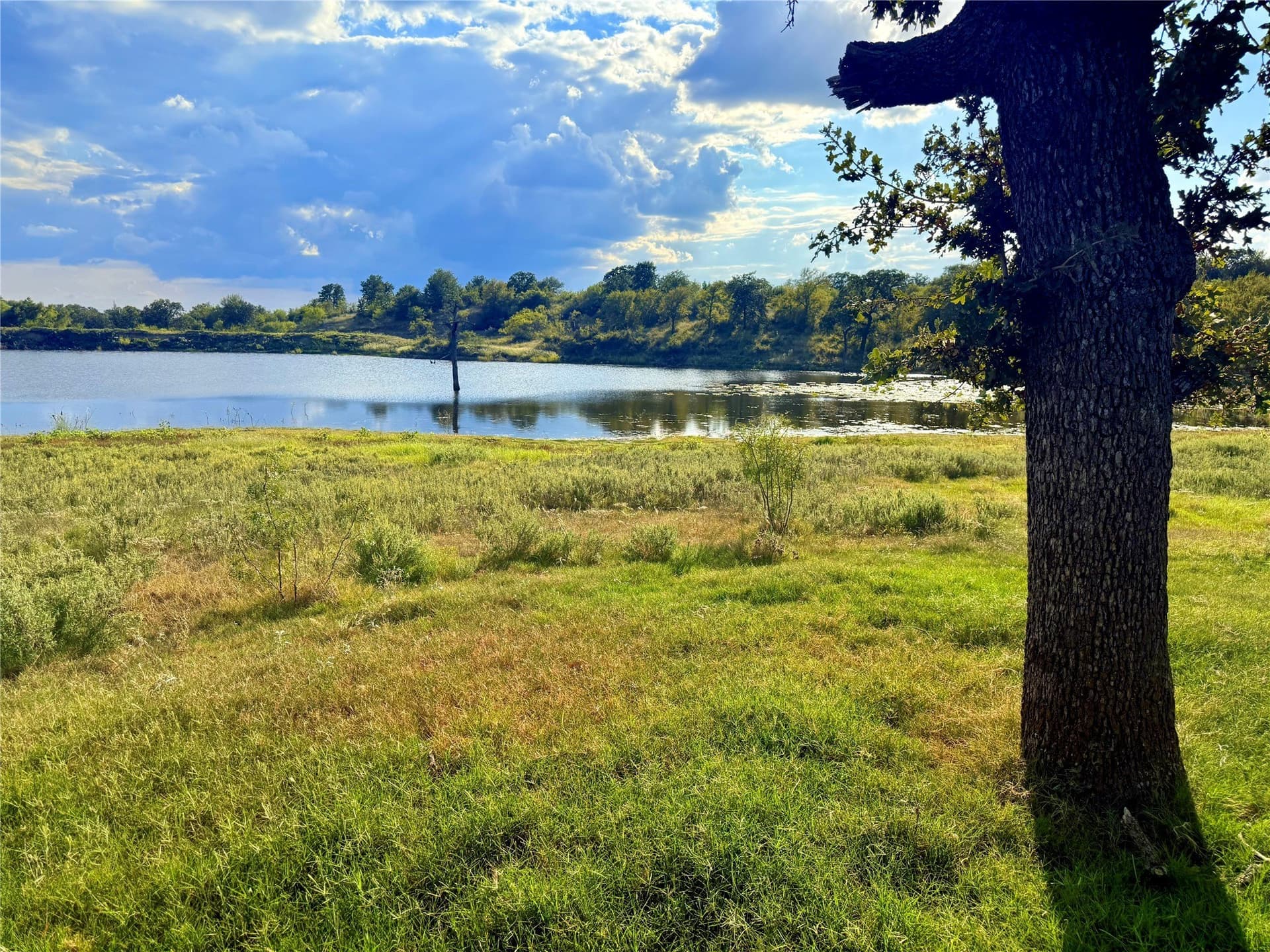 467.81 acres in Jack County - photo 22