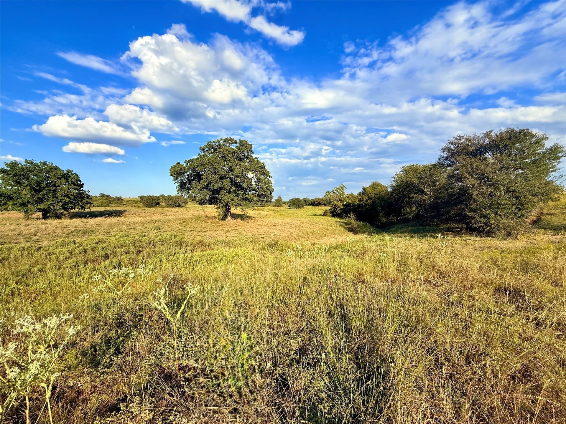 467.81 acres in Jack County - photo 28