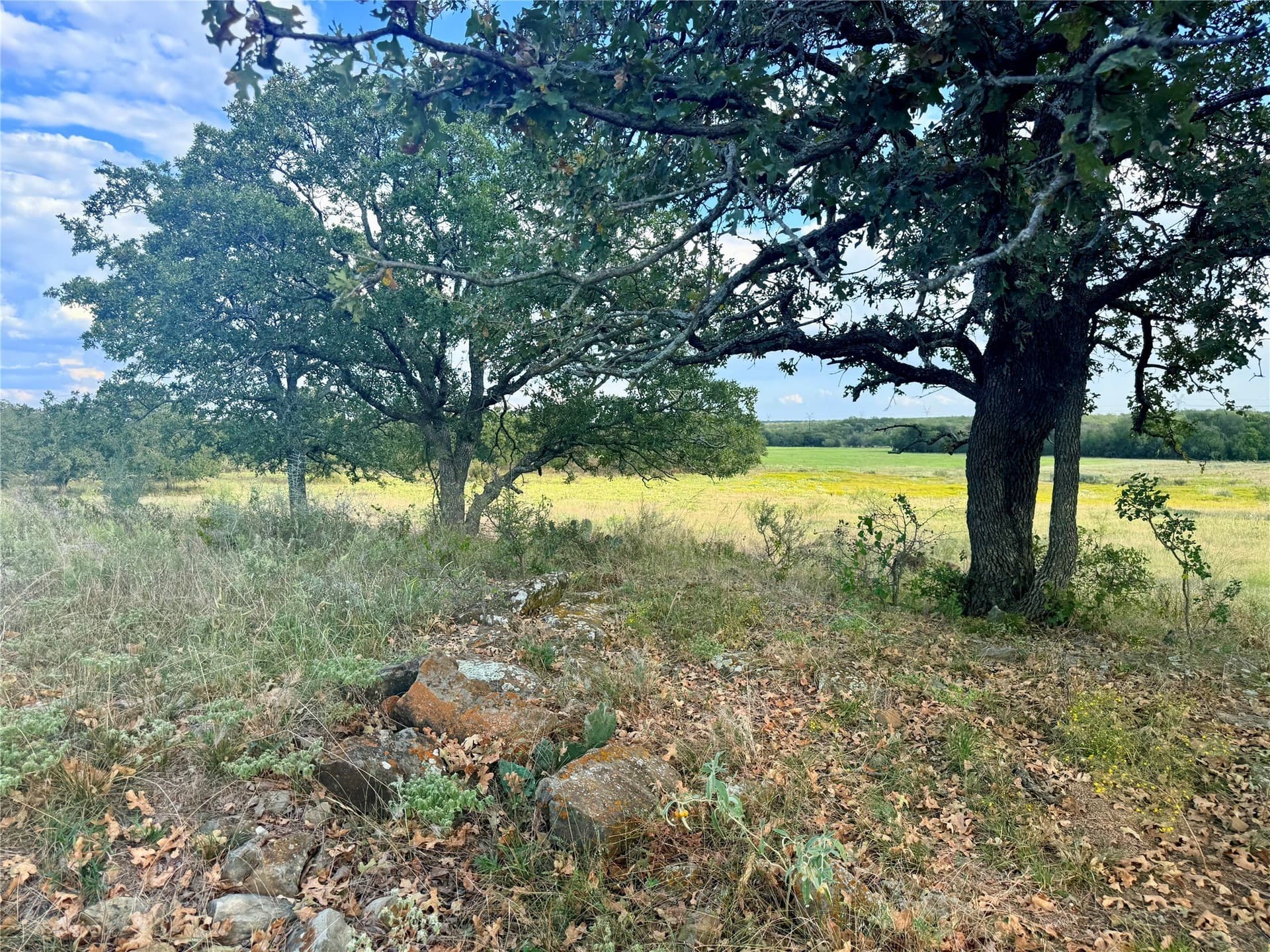 467.81 acres in Jack County - photo 20