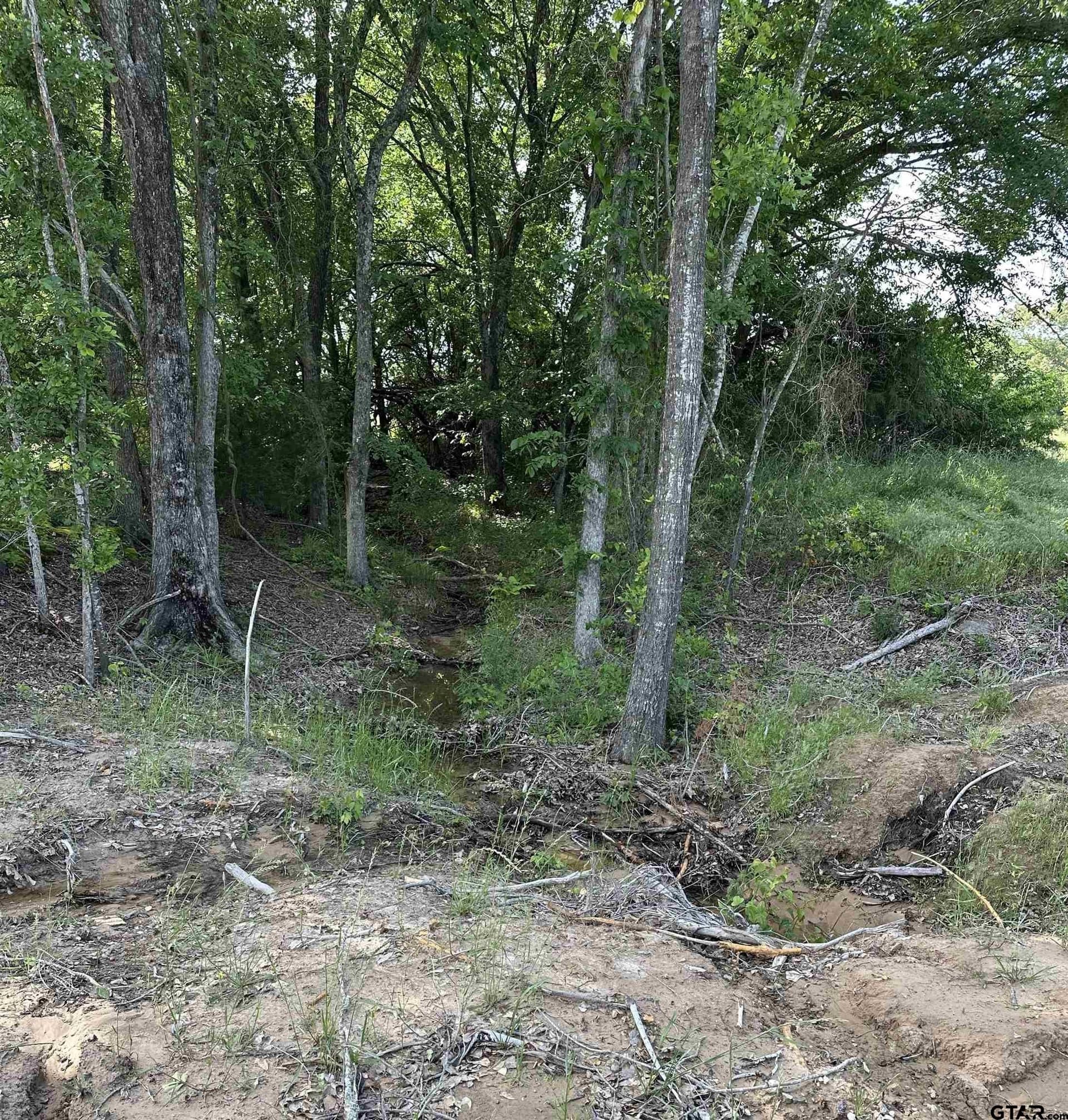 10.28 acres in Rains County - photo 8