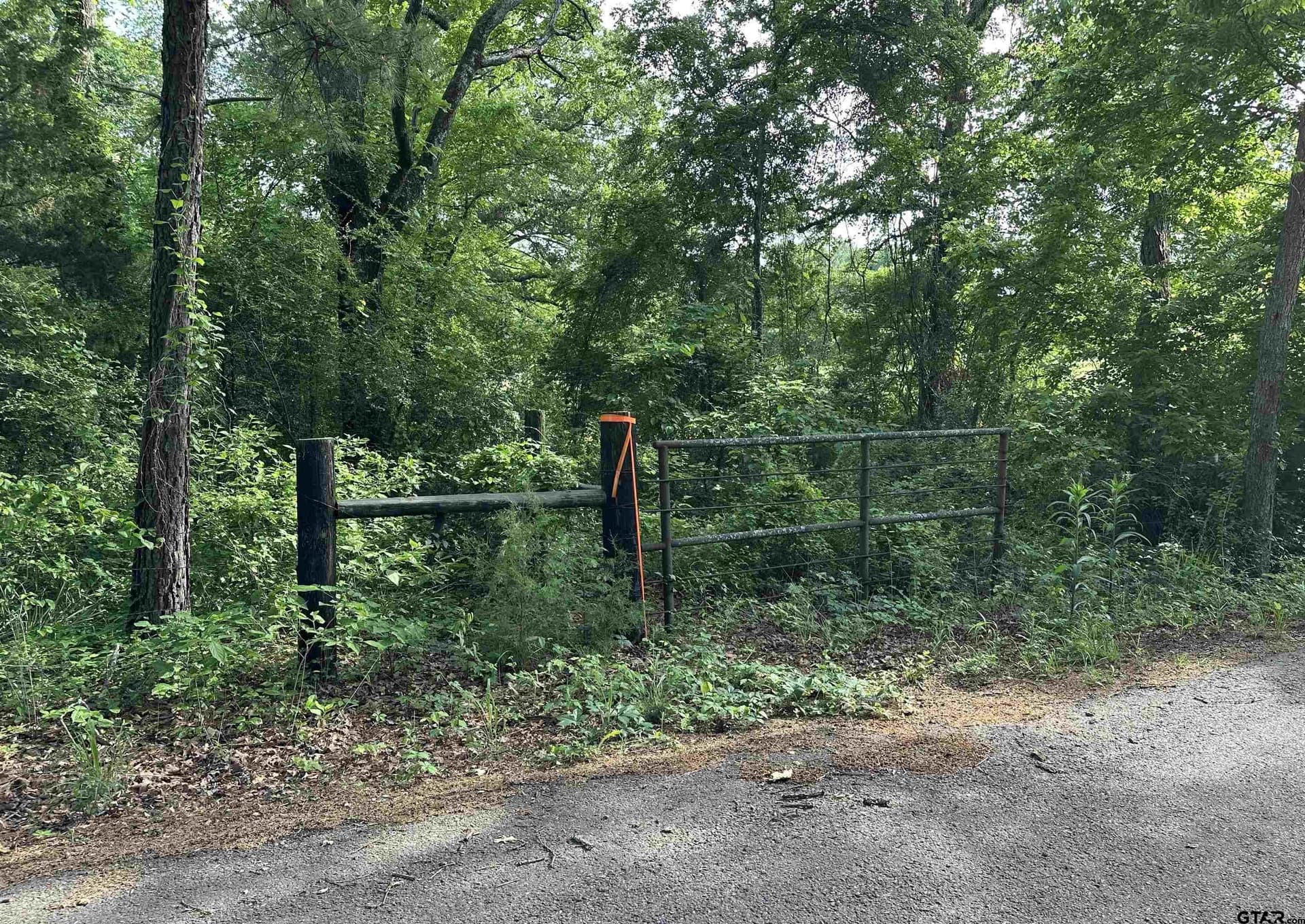 10.28 acres in Rains County - photo 6