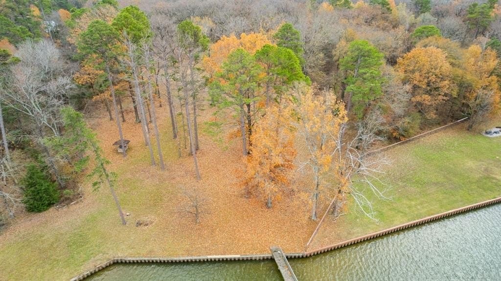 12.28 acres in Camp County gallery image 4