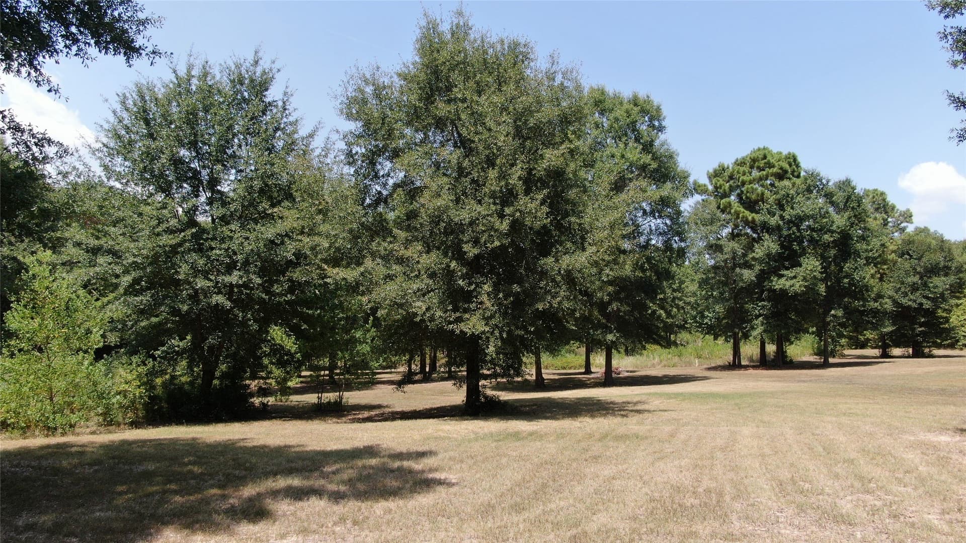 9.12 acres in Henderson County - photo 17