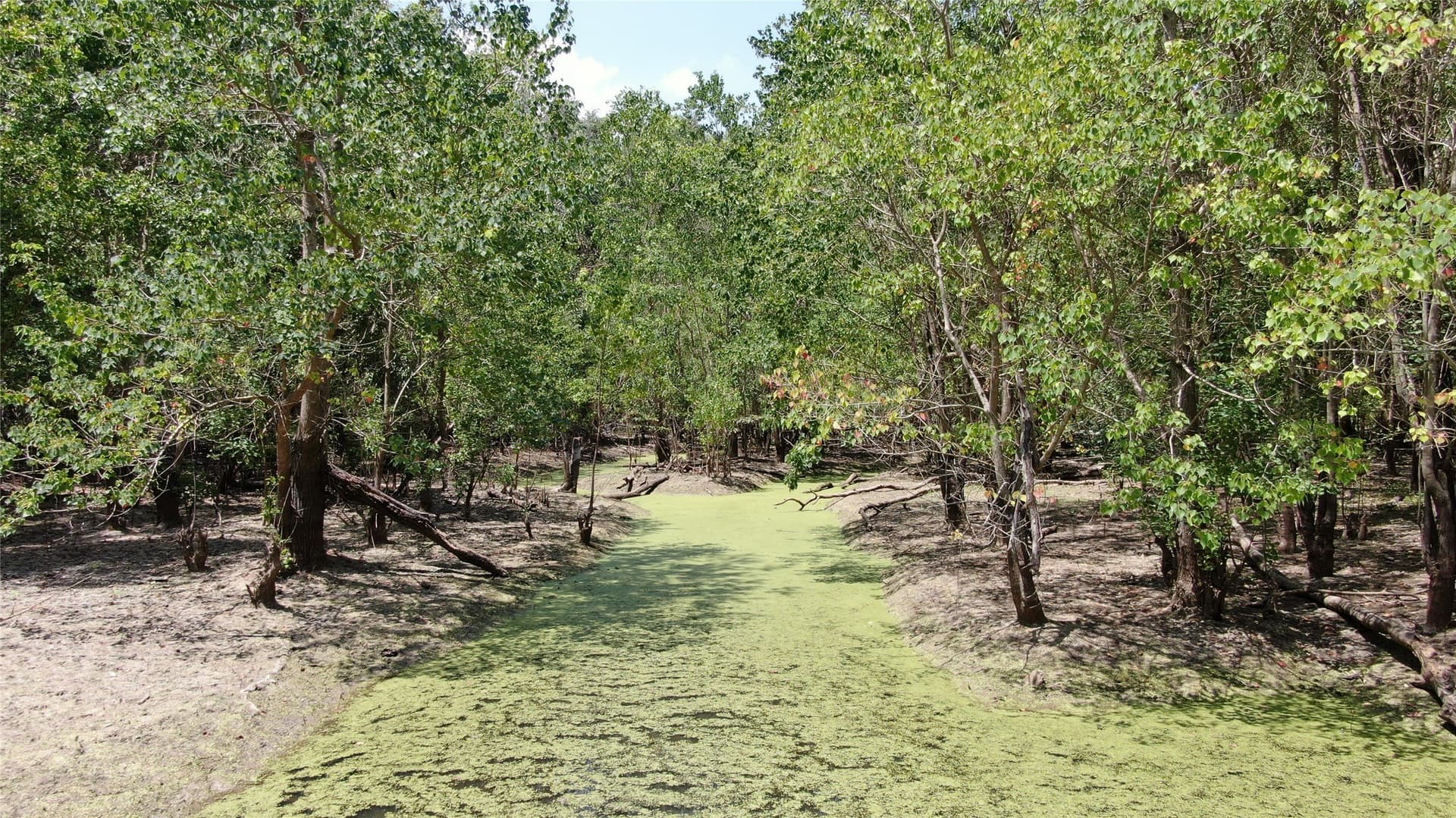 9.12 acres in Henderson County - photo 35