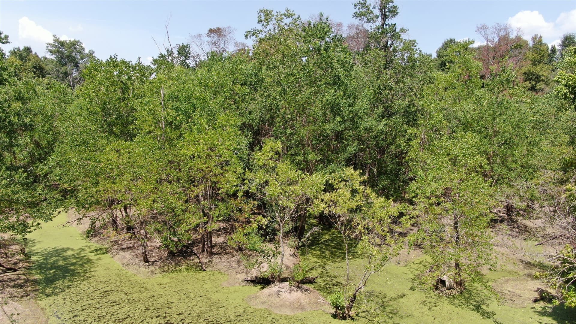 9.12 acres in Henderson County - photo 33