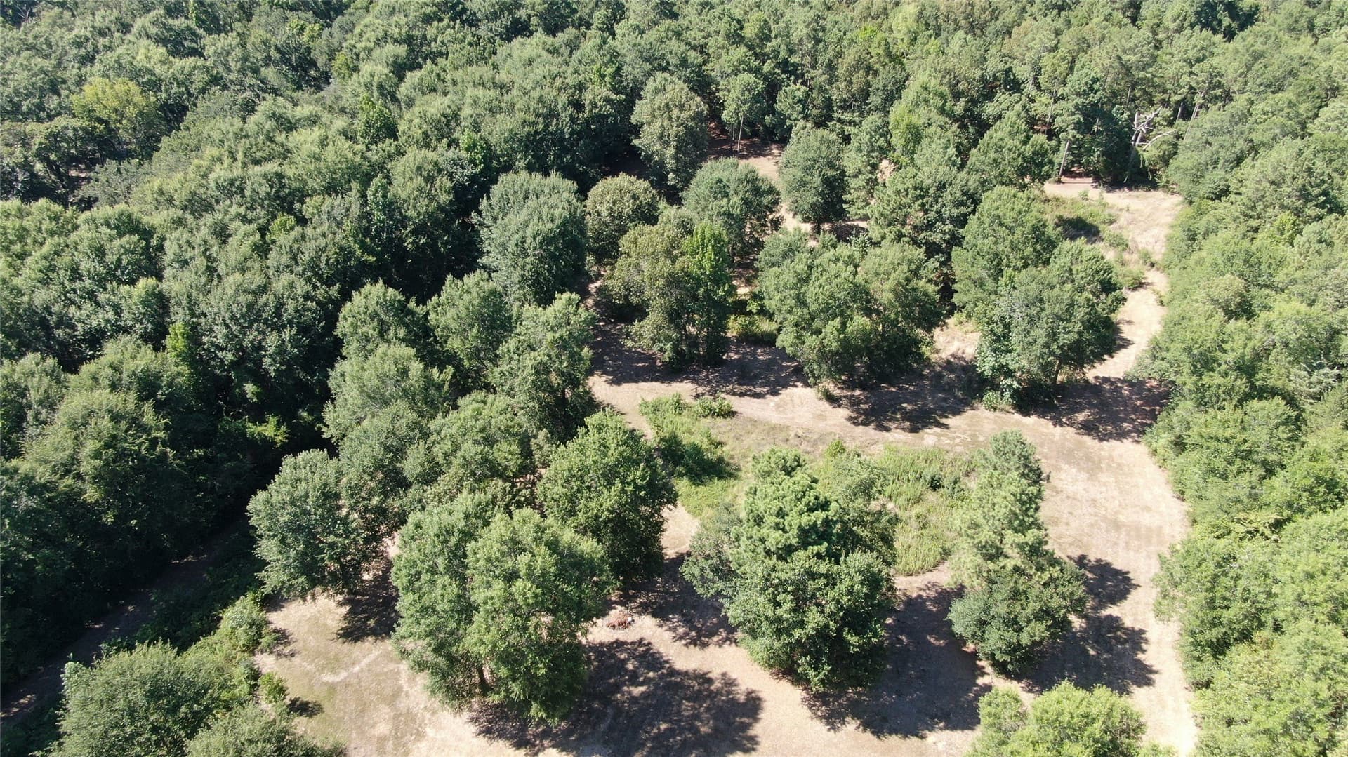 9.12 acres in Henderson County - photo 21