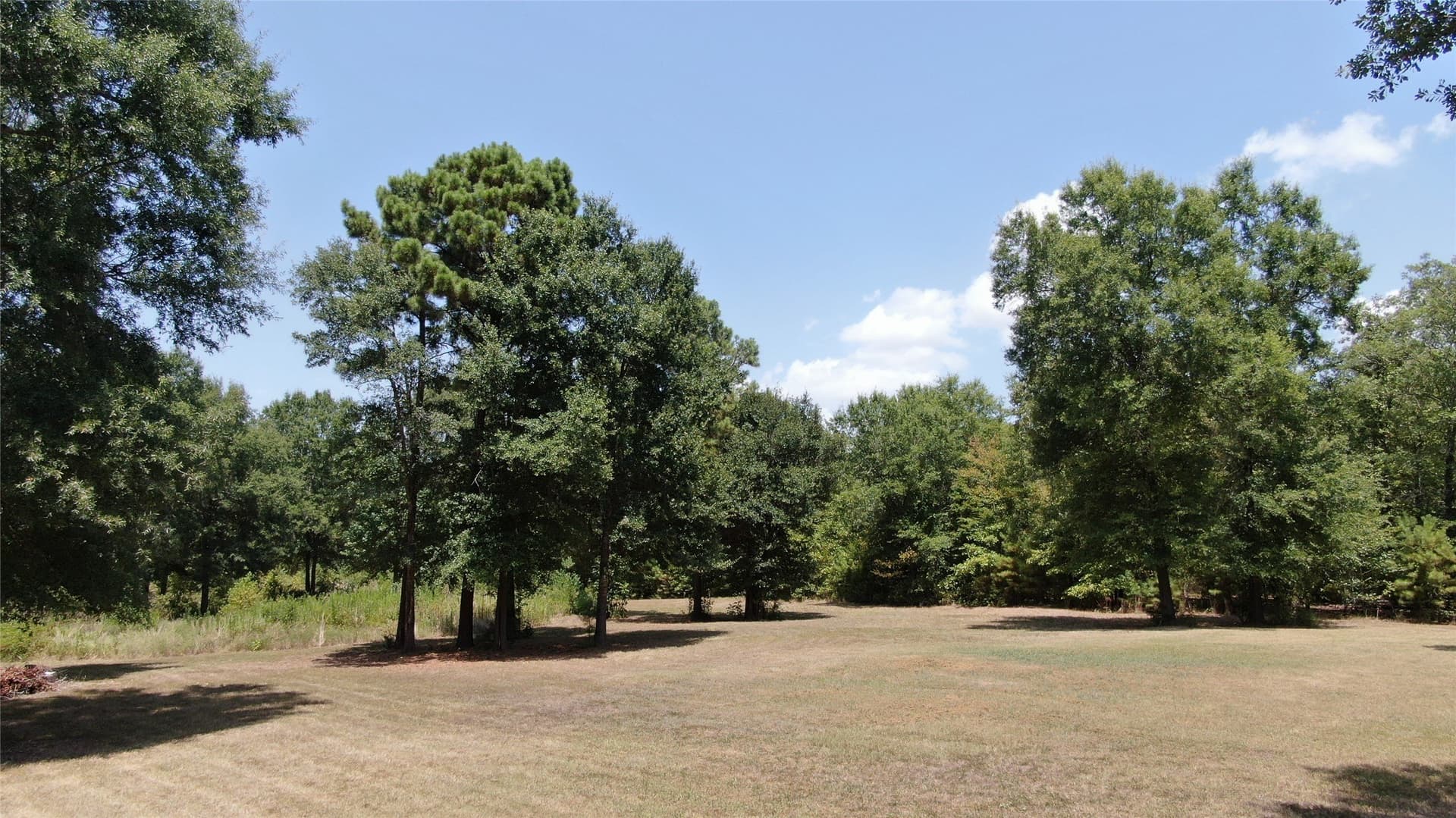 9.12 acres in Henderson County - photo 23