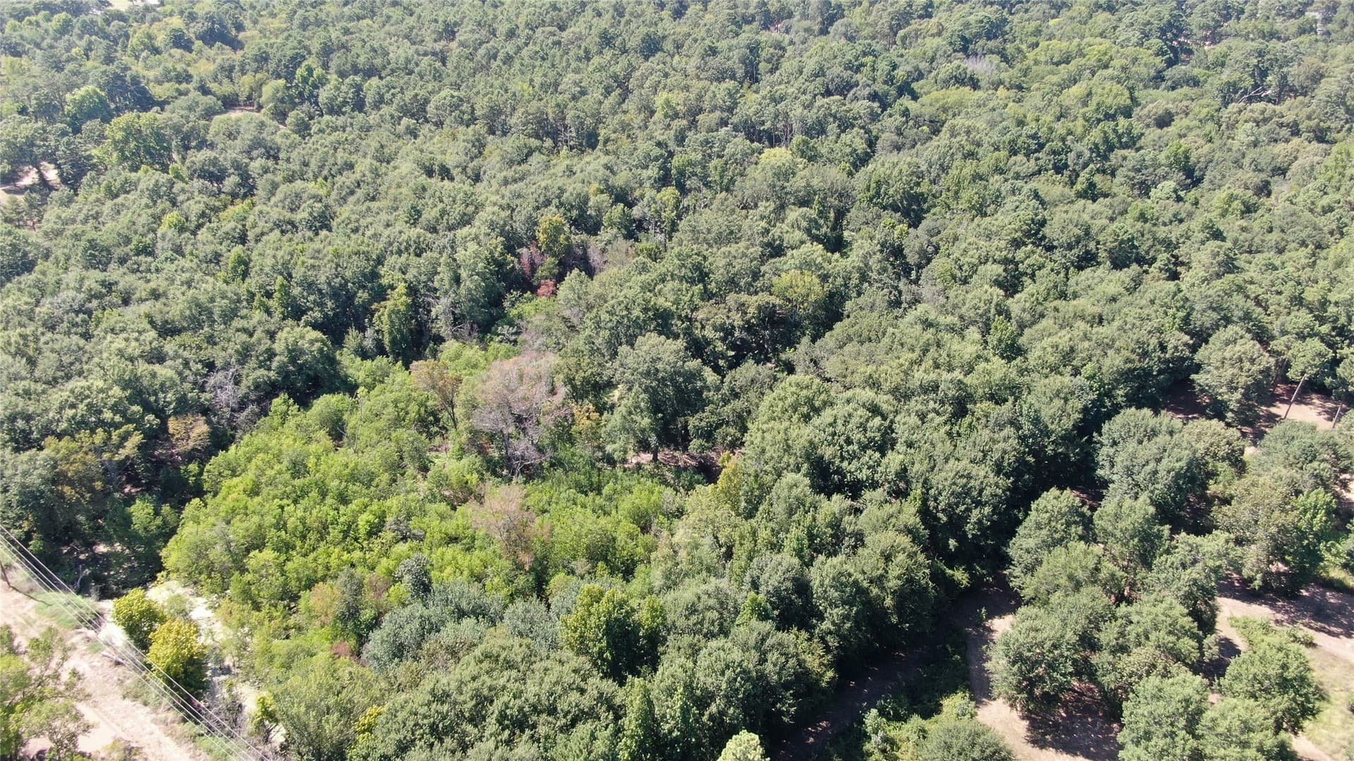 9.12 acres in Henderson County - photo 20