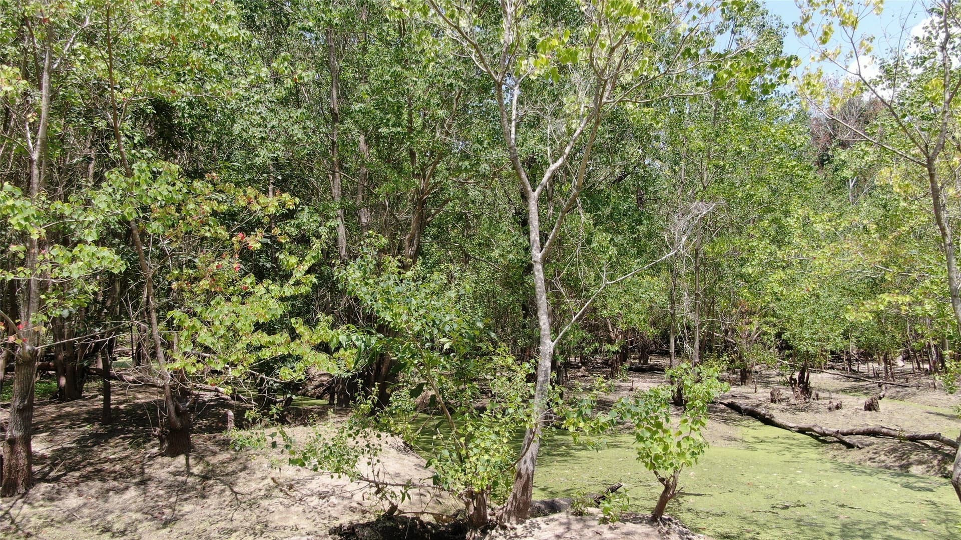 9.12 acres in Henderson County - photo 32