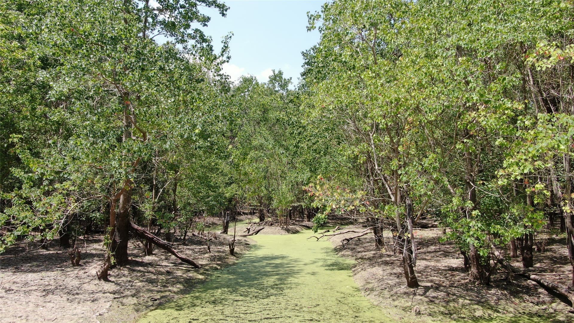 9.12 acres in Henderson County - photo 30