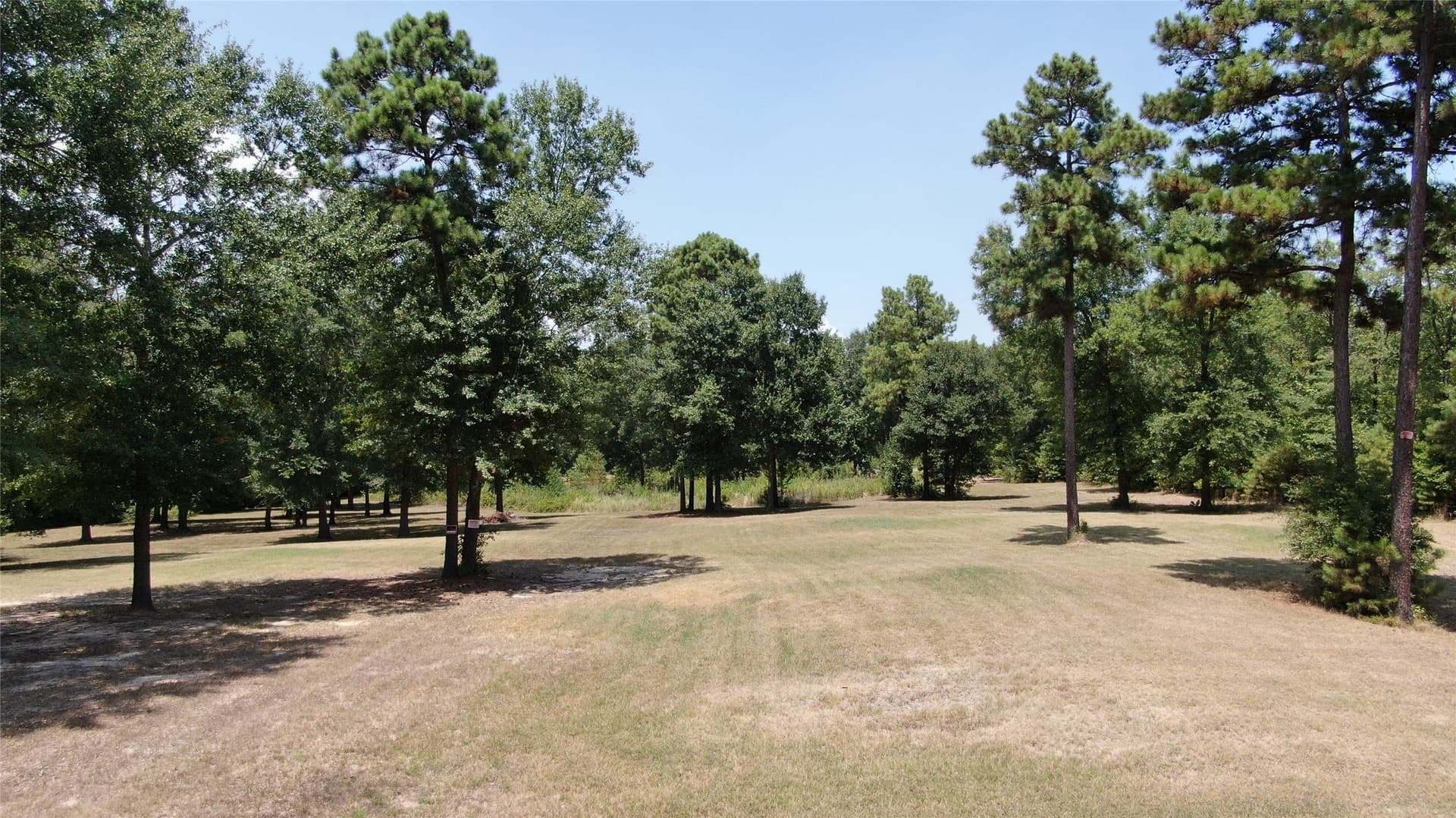9.12 acres in Henderson County - photo 10