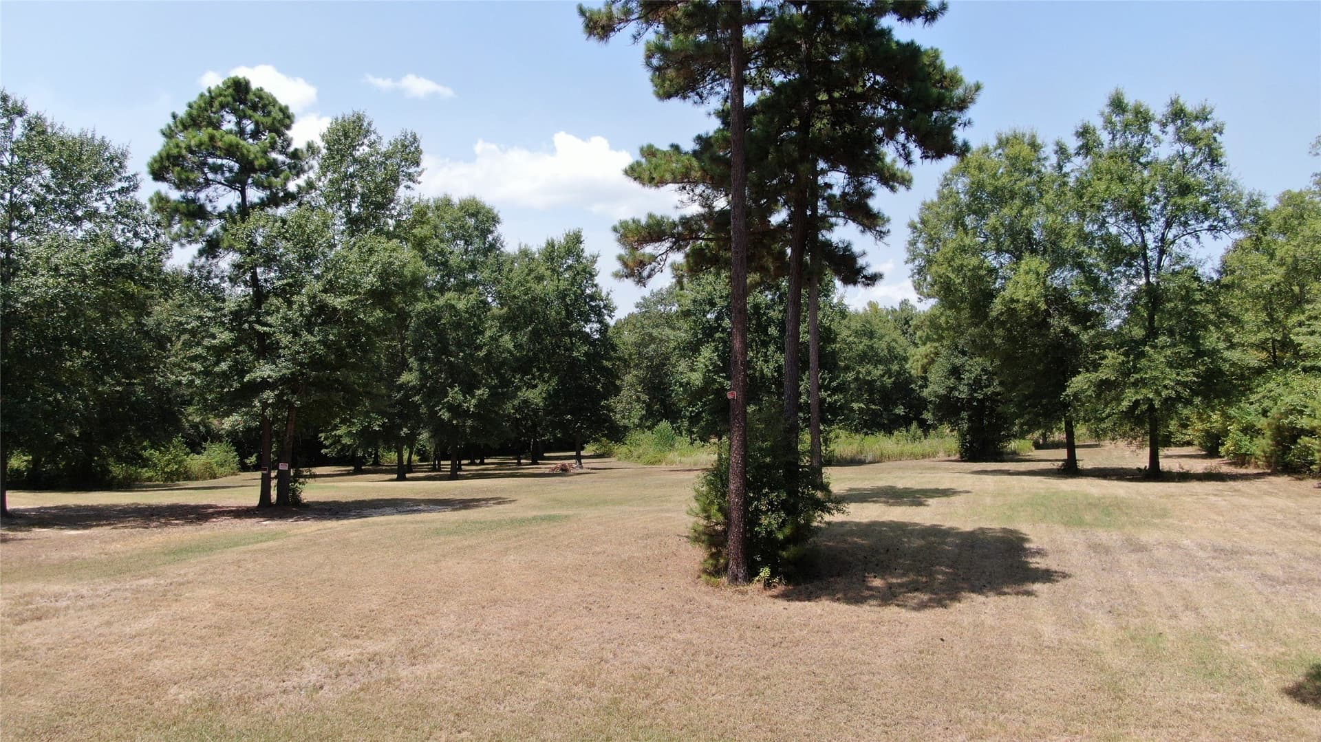 9.12 acres in Henderson County - photo 11