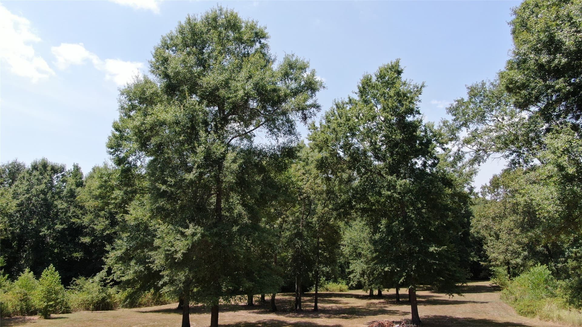 9.12 acres in Henderson County - photo 12