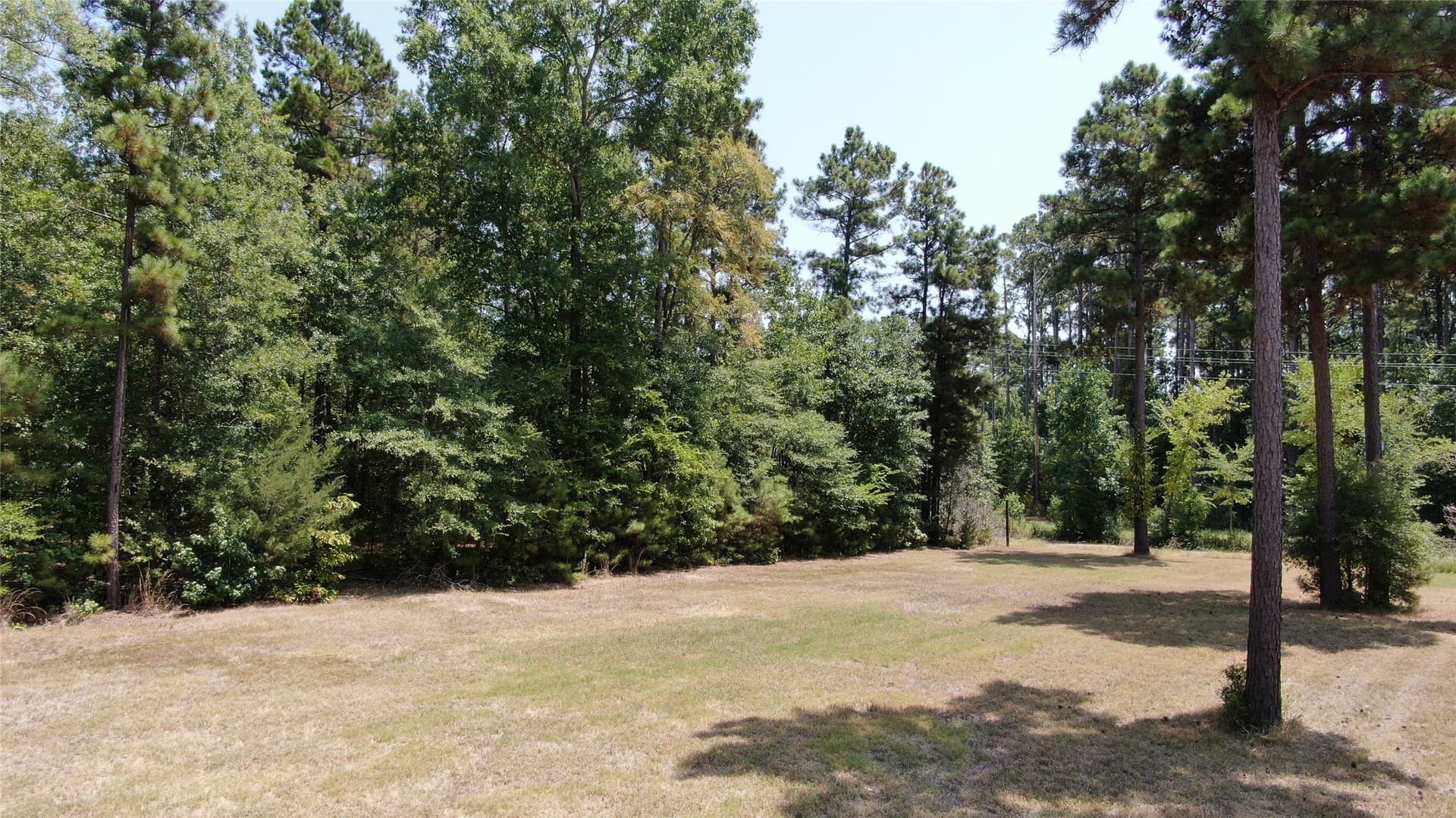 9.12 acres in Henderson County - photo 15