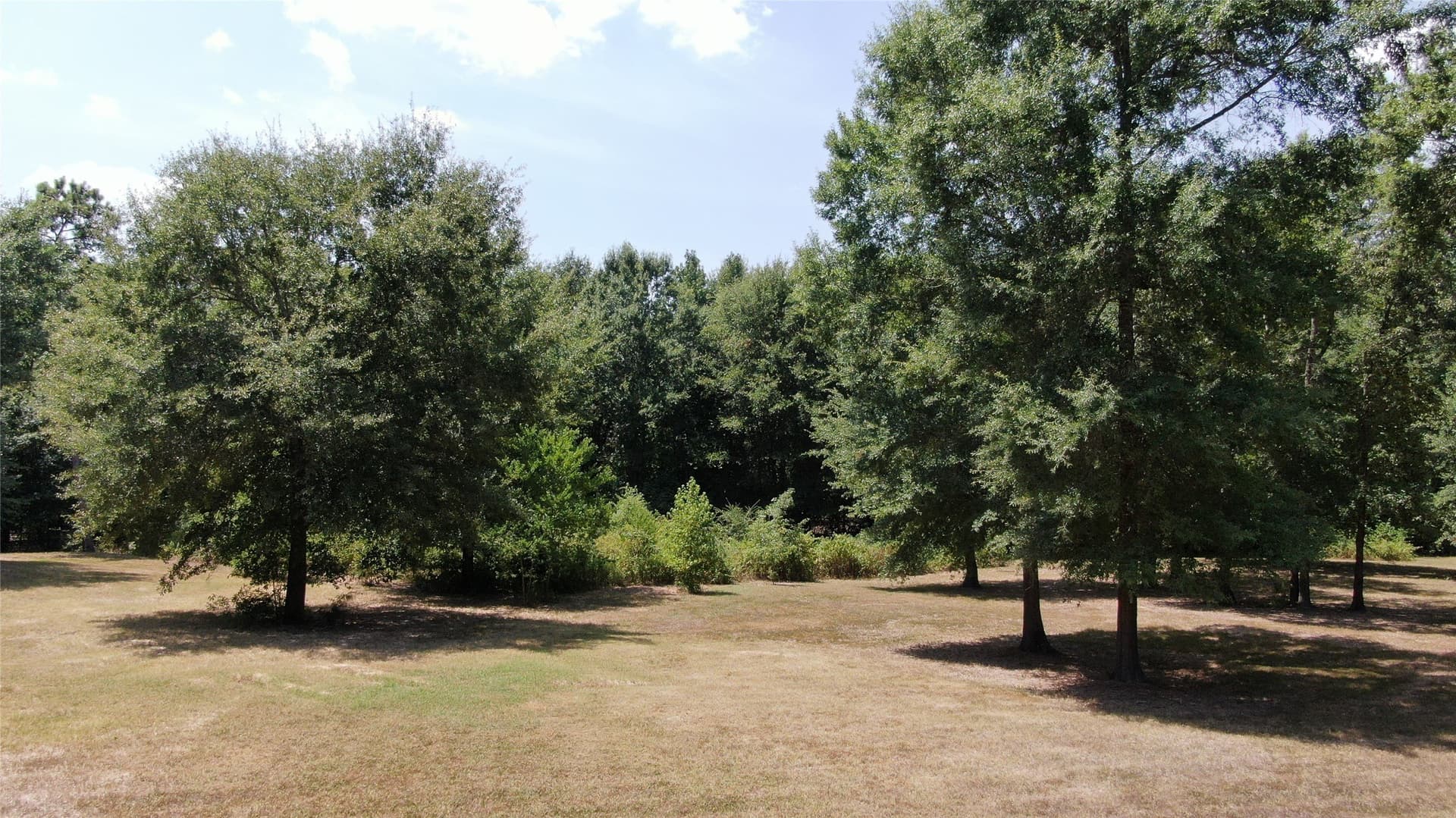 9.12 acres in Henderson County - photo 14