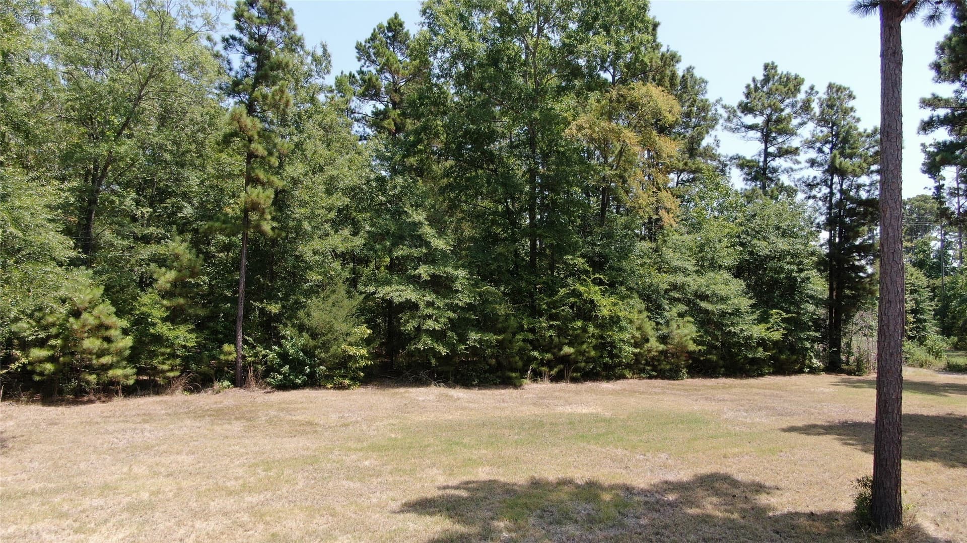 9.12 acres in Henderson County - photo 16