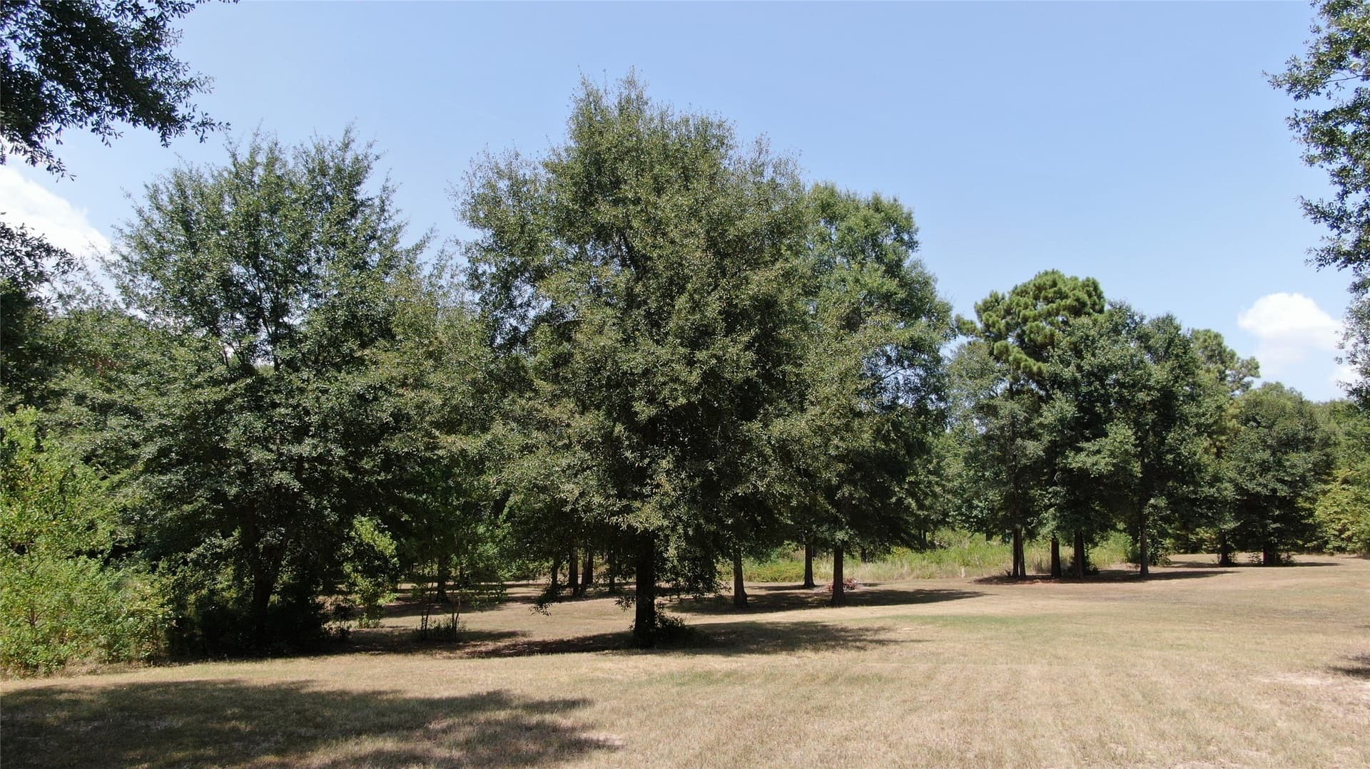 9.12 acres in Henderson County - photo 22