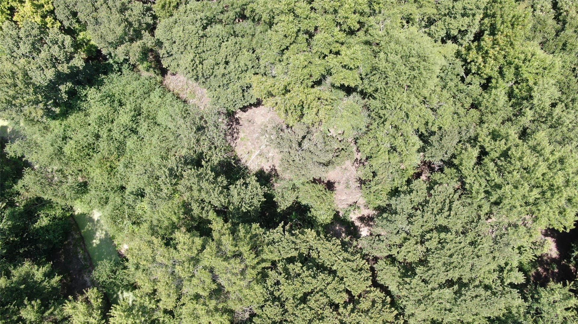9.12 acres in Henderson County - photo 27