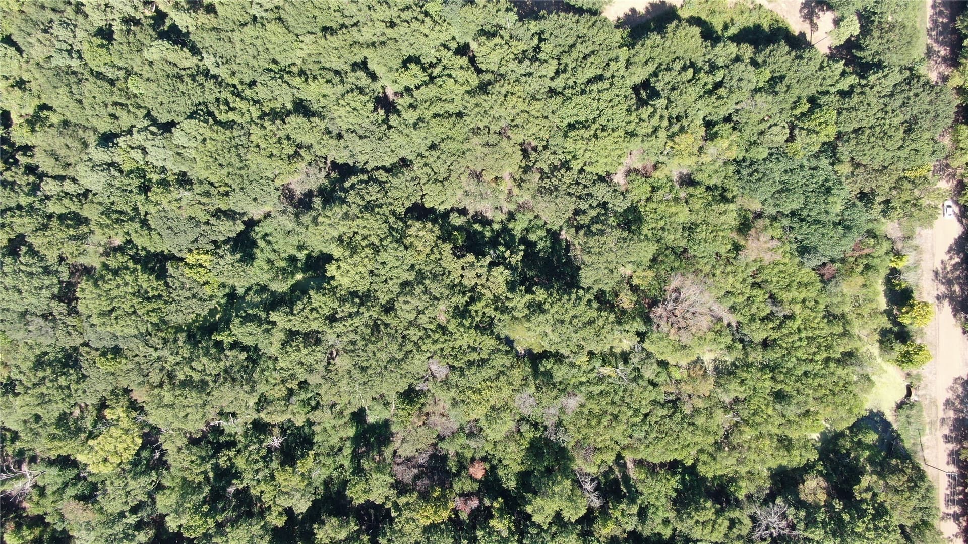9.12 acres in Henderson County - photo 19