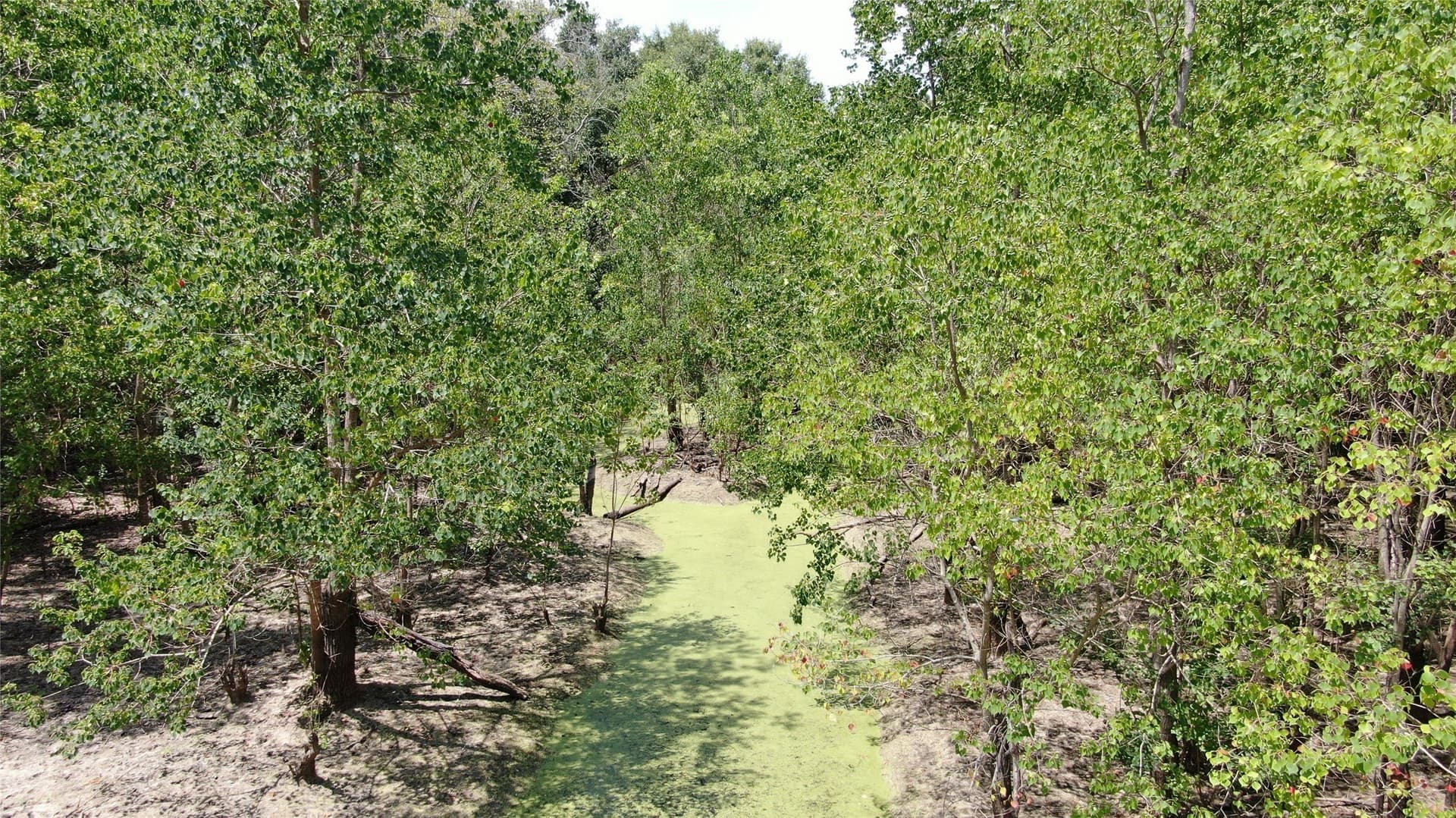 9.12 acres in Henderson County - photo 34