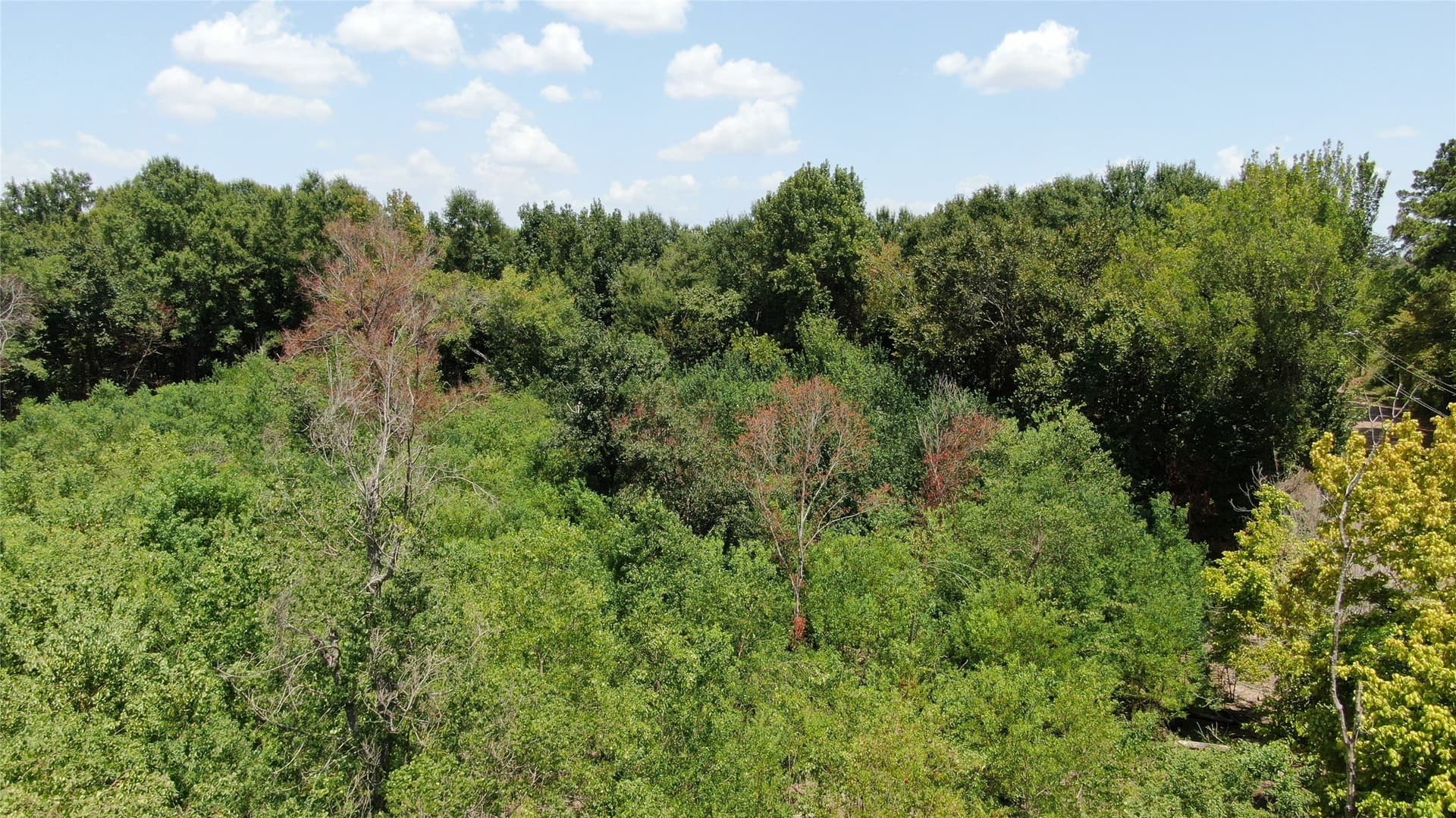 9.12 acres in Henderson County - photo 24