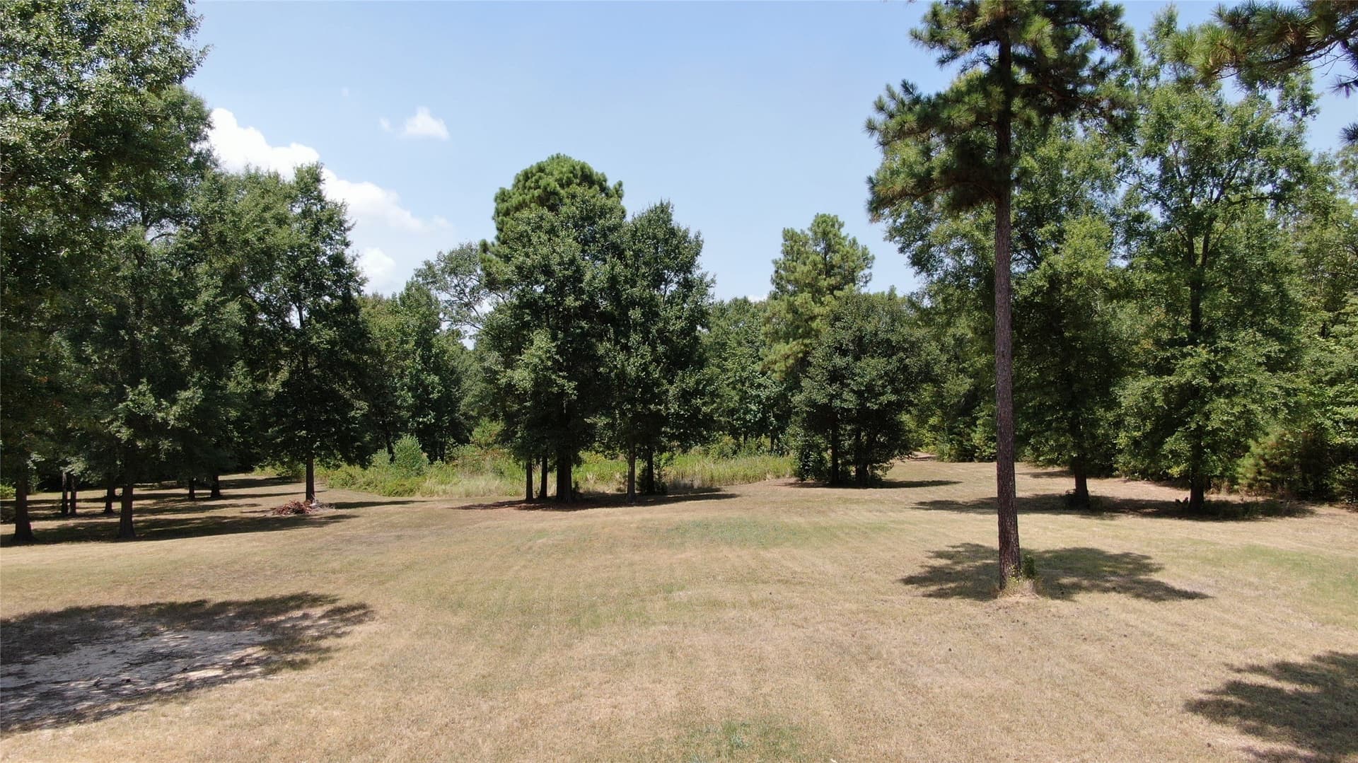 9.12 acres in Henderson County - photo 13