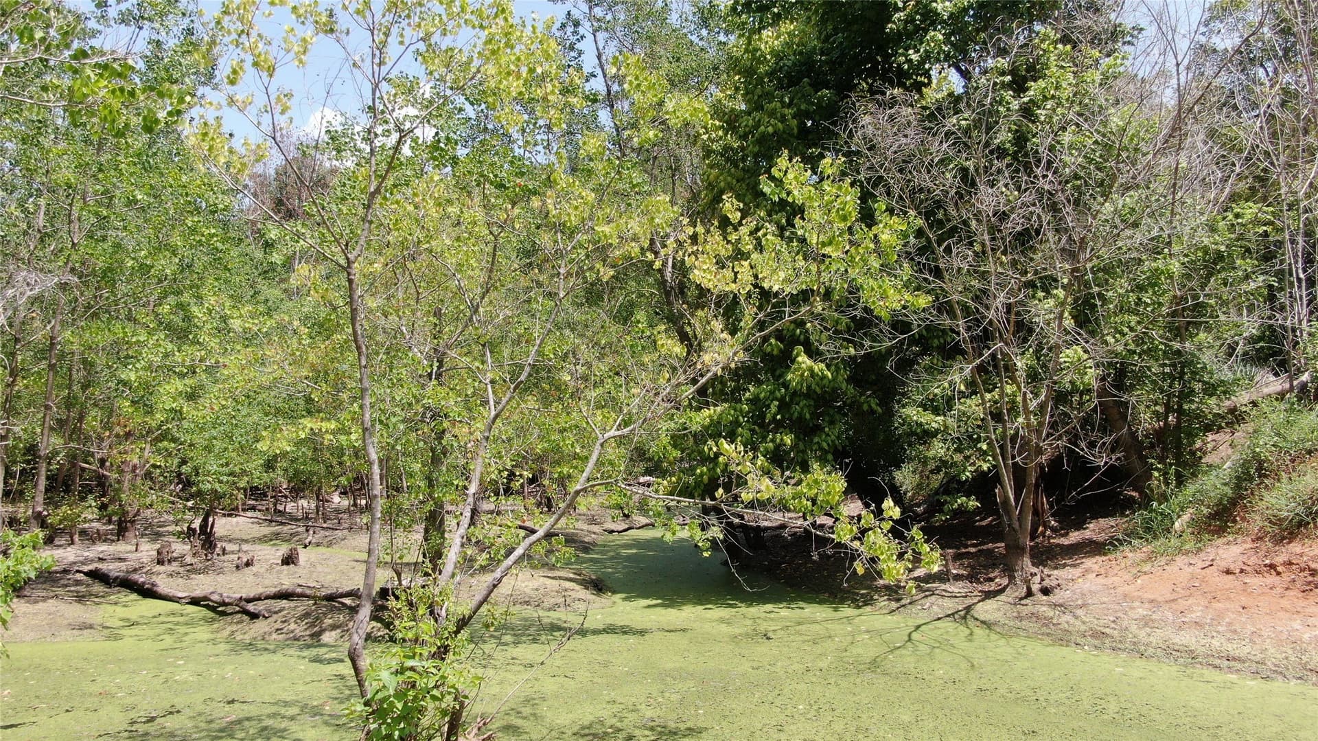 9.12 acres in Henderson County - photo 31