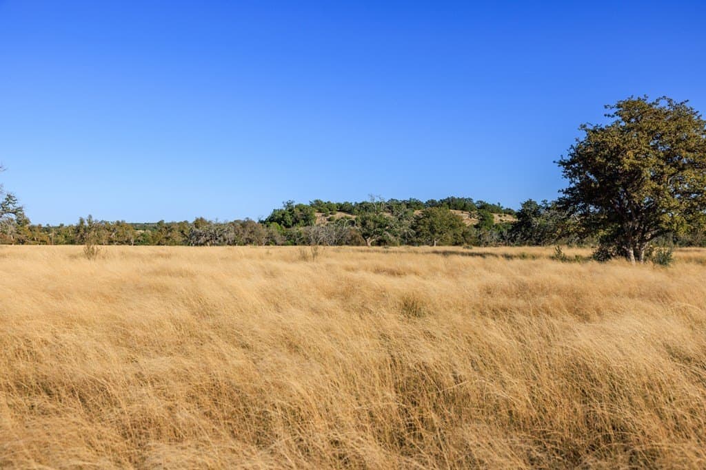 39.9 acres in Gillespie County - photo 47