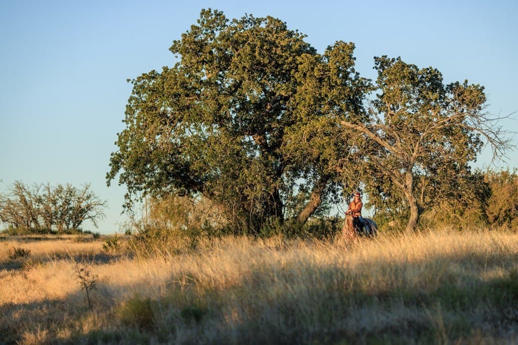 39.9 acres in Gillespie County - photo 22