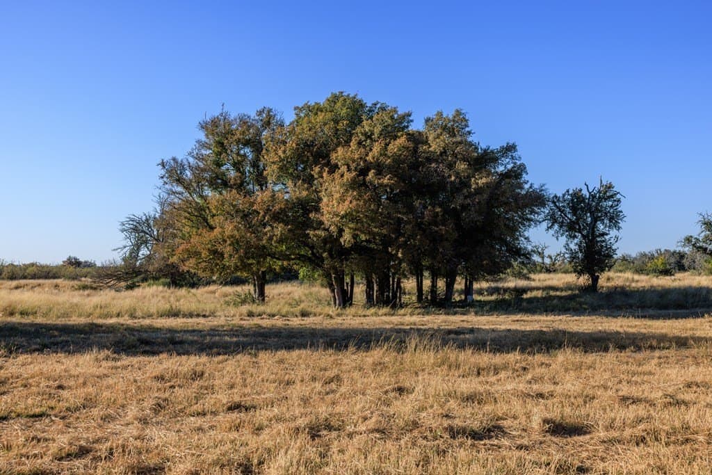 39.9 acres in Gillespie County - photo 41