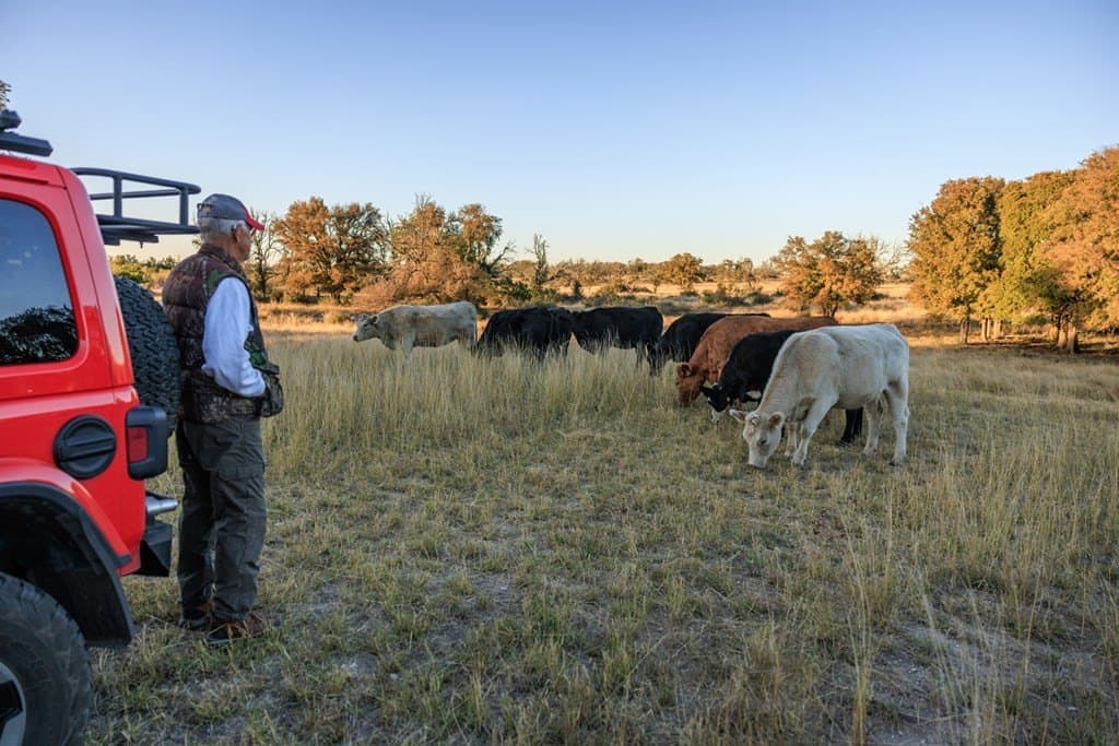 39.9 acres in Gillespie County - photo 10