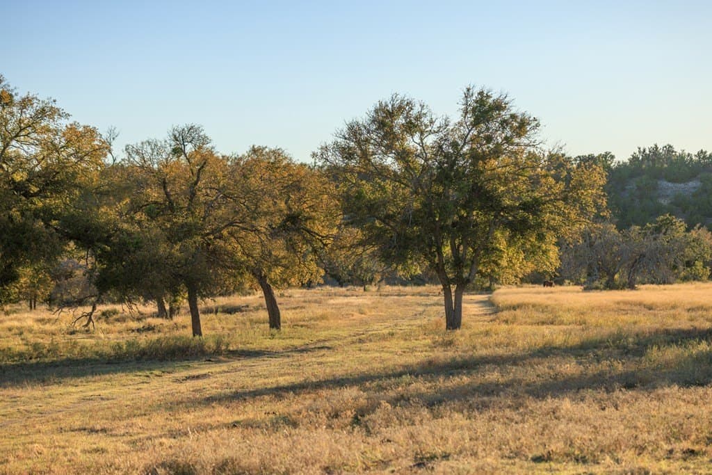39.9 acres in Gillespie County - photo 6