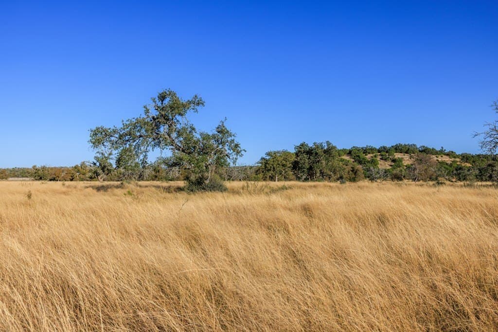 39.9 acres in Gillespie County - photo 45