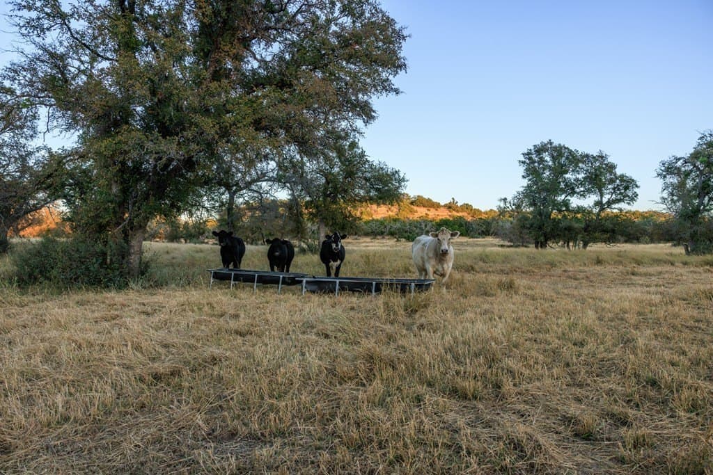 39.9 acres in Gillespie County - photo 27