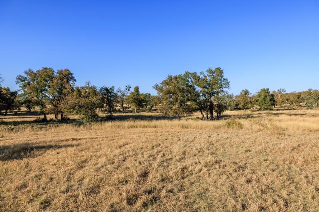 39.9 acres in Gillespie County - photo 40
