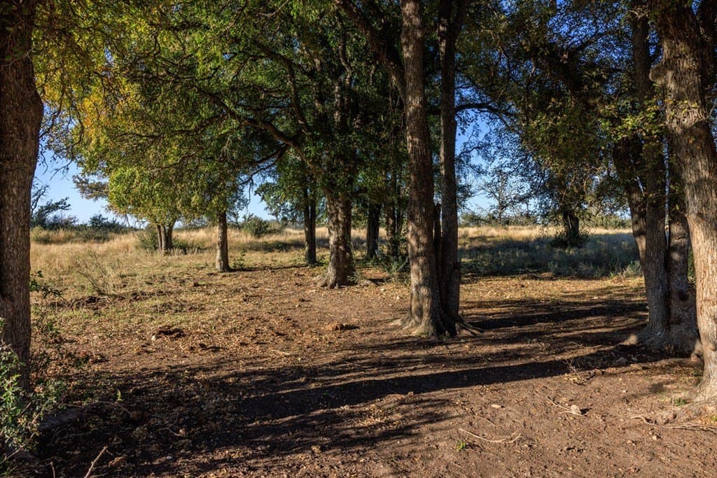 39.9 acres in Gillespie County - photo 42
