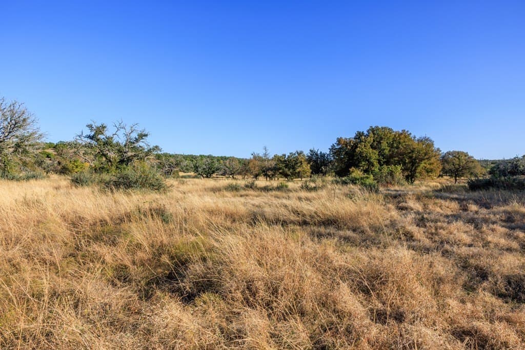 39.9 acres in Gillespie County - photo 43