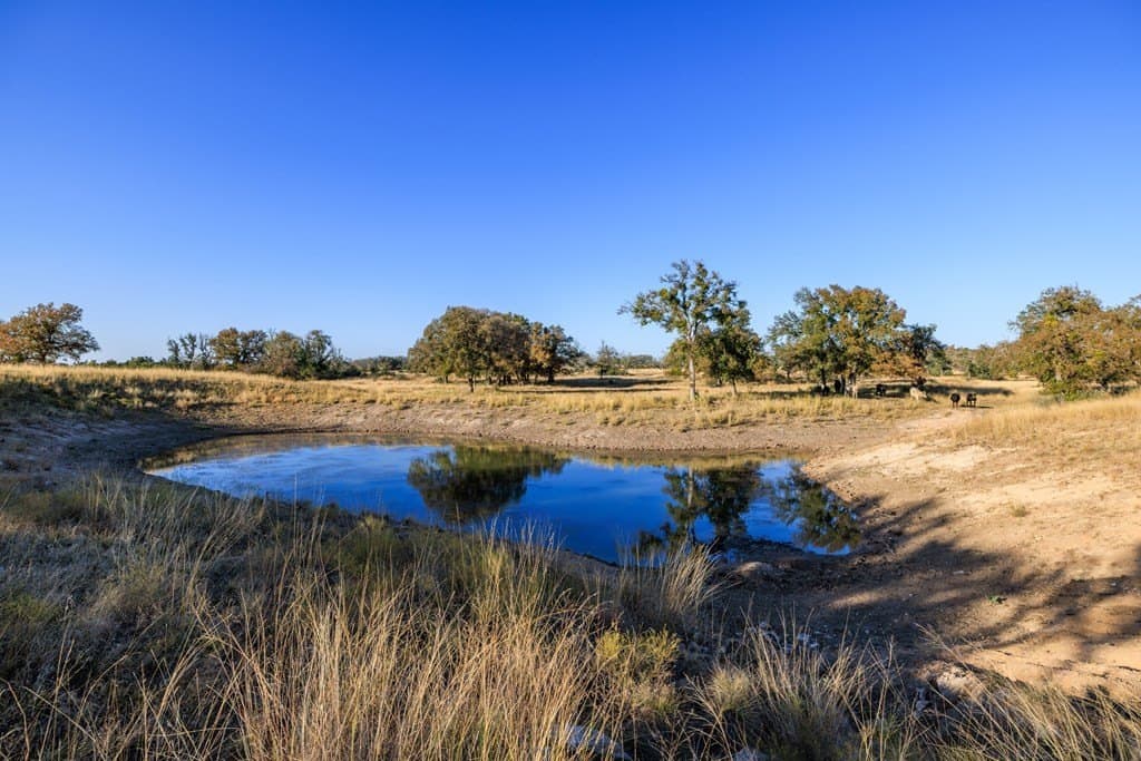 39.9 acres in Gillespie County - photo 38