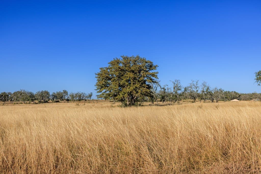 39.9 acres in Gillespie County - photo 44