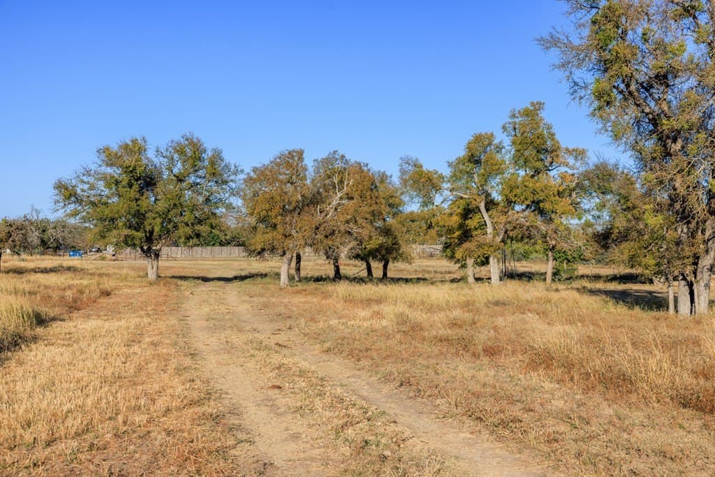 39.9 acres in Gillespie County - photo 50