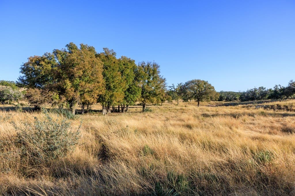 39.9 acres in Gillespie County - photo 48