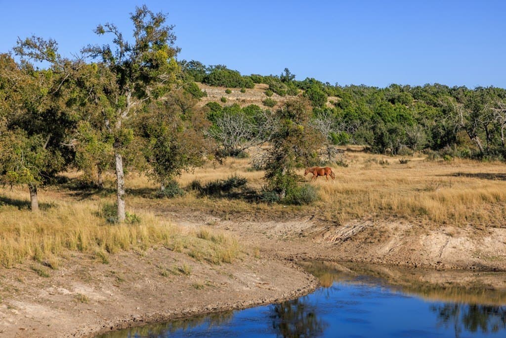 39.9 acres in Gillespie County - photo 34