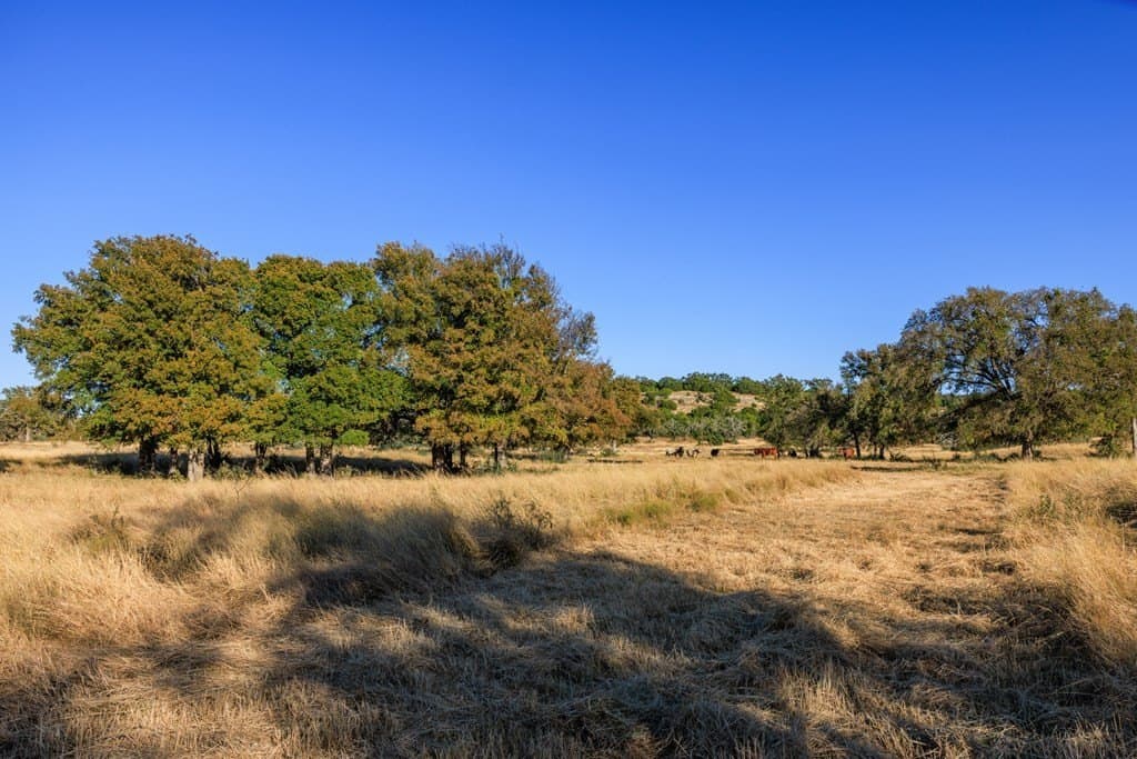 39.9 acres in Gillespie County - photo 30