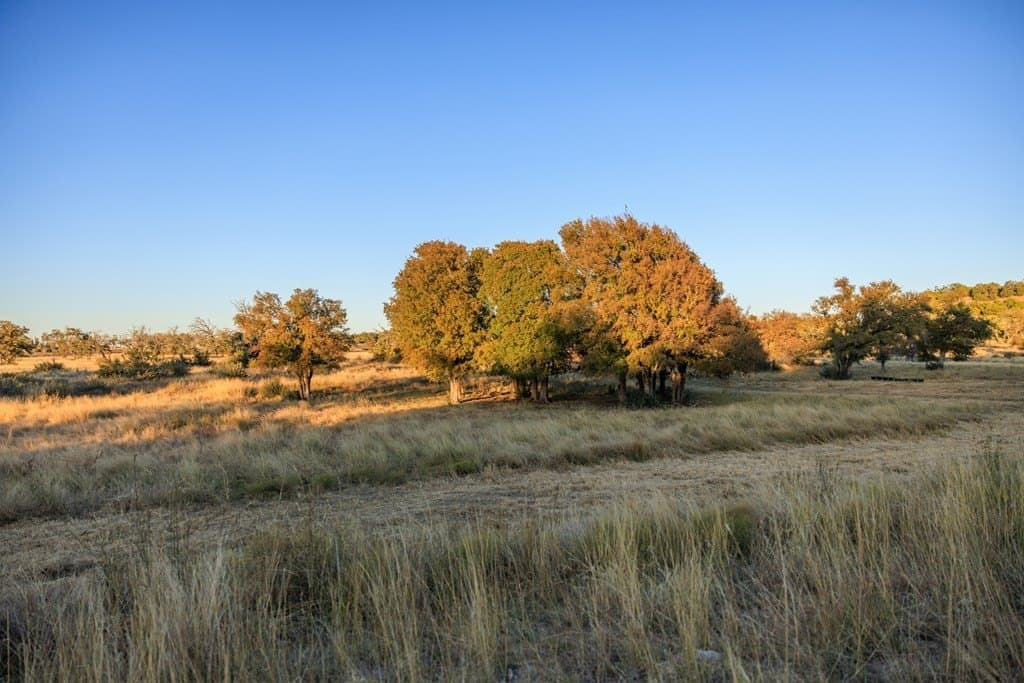 39.9 acres in Gillespie County - photo 14