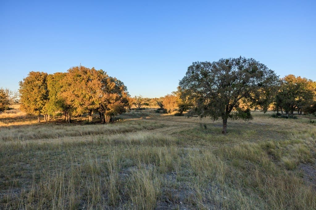 39.9 acres in Gillespie County - photo 12