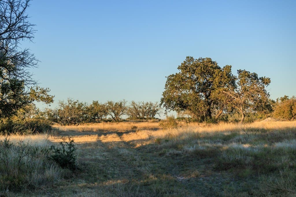 39.9 acres in Gillespie County - photo 21