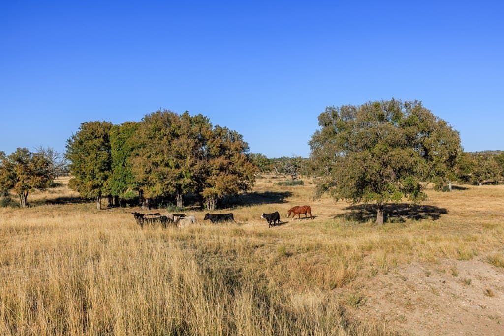 39.9 acres in Gillespie County - photo 35