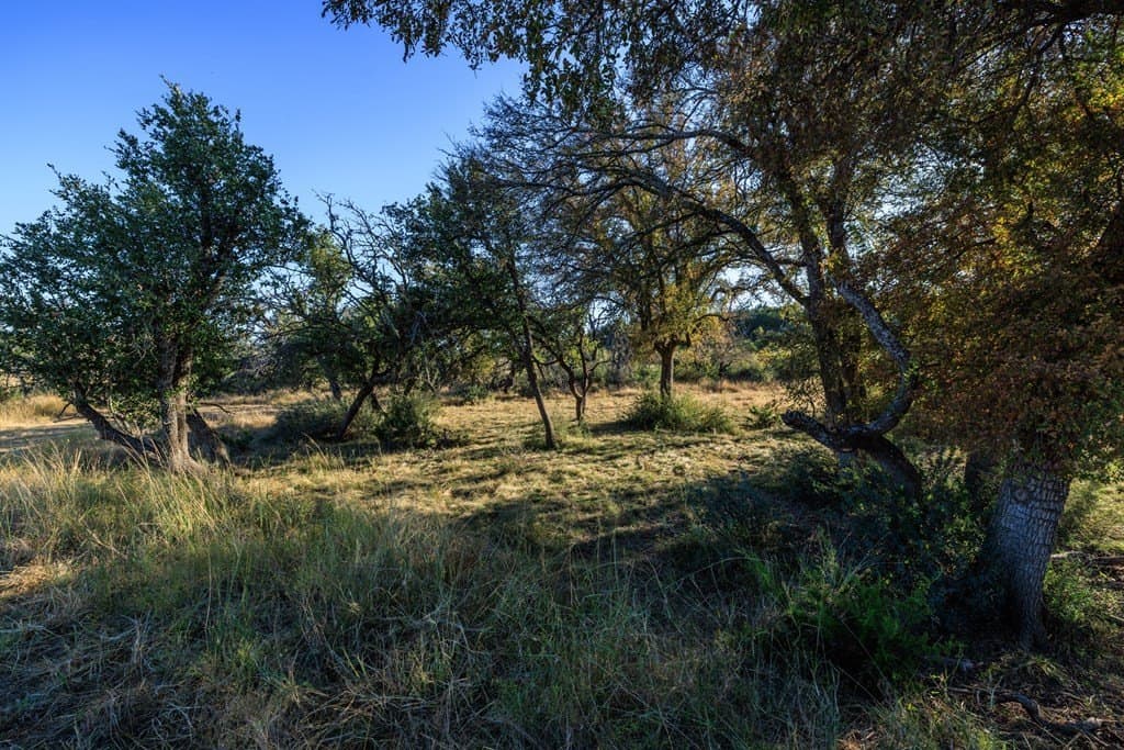 39.9 acres in Gillespie County - photo 37