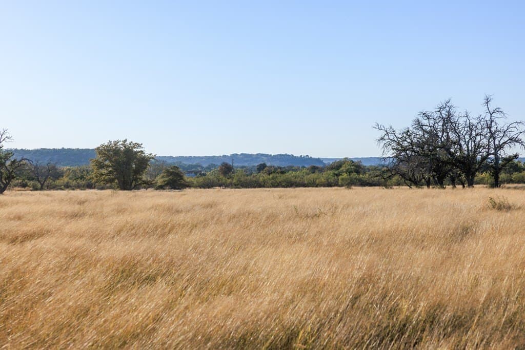 39.9 acres in Gillespie County - photo 49