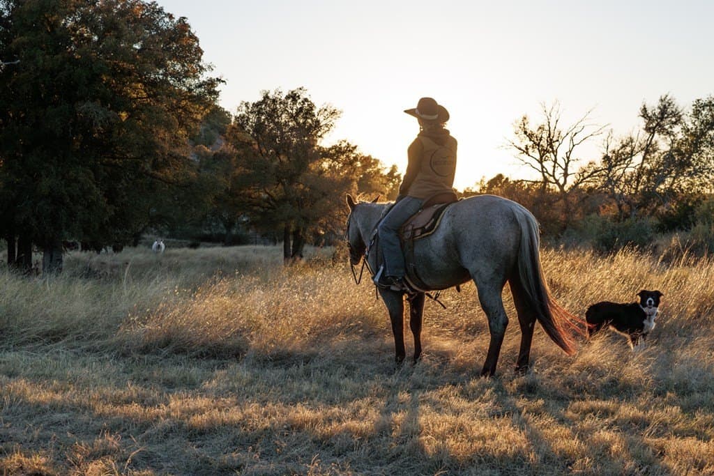 39.9 acres in Gillespie County - photo 26